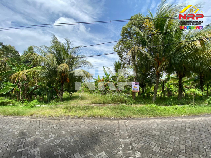  DIJUAL Tanah Luas di Cluring - Banyuwangi   DIJUAL Tanah Luas di Cluring - Banyuwangi  DIJUAL Tanah Luas di Cluring - Banyuwangi&nbsp;
Tanah kering, dengan akses jalan paving, kendaraan mobi/truk bisa masuk.&nbsp;

Luas Tanah : 5.575 NRP BANYUWANGI