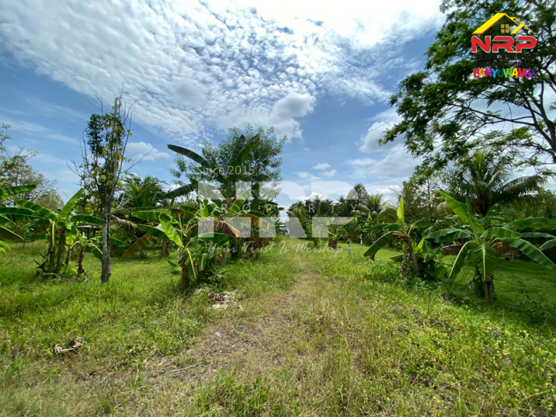  DIJUAL Tanah Luas di Cluring - Banyuwangi   DIJUAL Tanah Luas di Cluring - Banyuwangi  DIJUAL Tanah Luas di Cluring - Banyuwangi&nbsp;
Tanah kering, dengan akses jalan paving, kendaraan mobi/truk bisa masuk.&nbsp;

Luas Tanah : 5.575 NRP BANYUWANGI