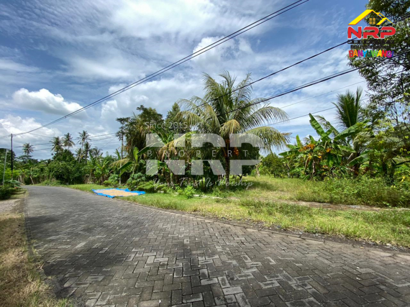  DIJUAL Tanah Luas di Cluring - Banyuwangi   DIJUAL Tanah Luas di Cluring - Banyuwangi  DIJUAL Tanah Luas di Cluring - Banyuwangi&nbsp;
Tanah kering, dengan akses jalan paving, kendaraan mobi/truk bisa masuk.&nbsp;

Luas Tanah : 5.575 NRP BANYUWANGI