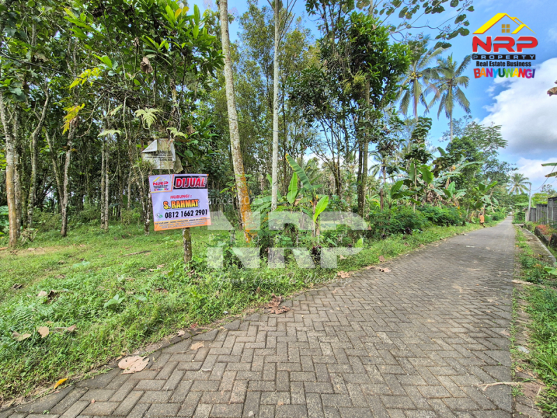  Dijual Tanah Siap Huni di Tamansari, Licin  Dijual Tanah Siap Huni di Tamansari, Licin Dijual Tanah Siap Huni di Tamansari, Licin
Nikmati suasana sejuk khas pegunungan Banyuwangi.
Dengan akses jalan paving, pas untuk bangun villa atau rumah NRP BANYUWANGI