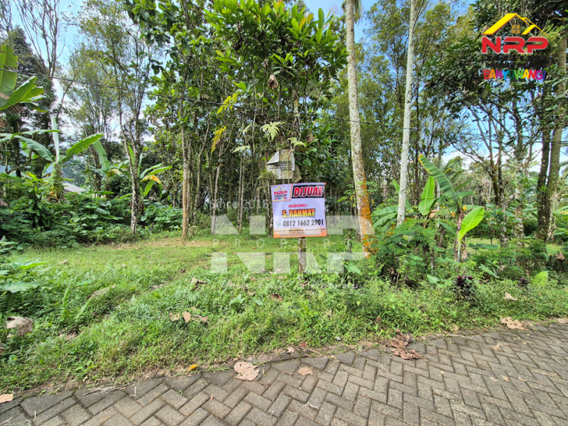  Dijual Tanah Siap Huni di Tamansari, Licin  Dijual Tanah Siap Huni di Tamansari, Licin Dijual Tanah Siap Huni di Tamansari, Licin
Nikmati suasana sejuk khas pegunungan Banyuwangi.
Dengan akses jalan paving, pas untuk bangun villa atau rumah NRP BANYUWANGI