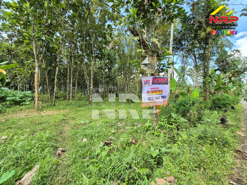 Dijual Tanah Siap Huni di Tamansari, Licin  Dijual Tanah Siap Huni di Tamansari, Licin Dijual Tanah Siap Huni di Tamansari, Licin
Nikmati suasana sejuk khas pegunungan Banyuwangi.
Dengan akses jalan paving, pas untuk bangun villa atau rumah NRP BANYUWANGI
