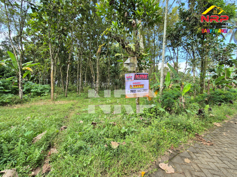 Dijual Tanah Siap Huni di Tamansari, Licin  Dijual Tanah Siap Huni di Tamansari, Licin Dijual Tanah Siap Huni di Tamansari, Licin
Nikmati suasana sejuk khas pegunungan Banyuwangi.
Dengan akses jalan paving, pas untuk bangun villa atau rumah NRP BANYUWANGI