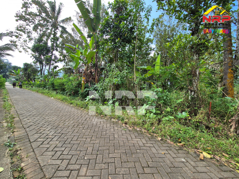  Dijual Tanah Siap Huni di Tamansari, Licin  Dijual Tanah Siap Huni di Tamansari, Licin Dijual Tanah Siap Huni di Tamansari, Licin
Nikmati suasana sejuk khas pegunungan Banyuwangi.
Dengan akses jalan paving, pas untuk bangun villa atau rumah NRP BANYUWANGI