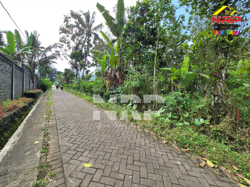  Dijual Tanah Siap Huni di Tamansari, Licin  Dijual Tanah Siap Huni di Tamansari, Licin Dijual Tanah Siap Huni di Tamansari, Licin
Nikmati suasana sejuk khas pegunungan Banyuwangi.
Dengan akses jalan paving, pas untuk bangun villa atau rumah NRP BANYUWANGI