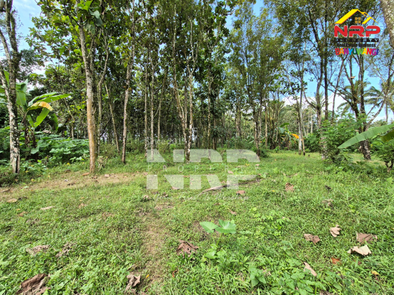  Dijual Tanah Siap Huni di Tamansari, Licin  Dijual Tanah Siap Huni di Tamansari, Licin Dijual Tanah Siap Huni di Tamansari, Licin
Nikmati suasana sejuk khas pegunungan Banyuwangi.
Dengan akses jalan paving, pas untuk bangun villa atau rumah NRP BANYUWANGI