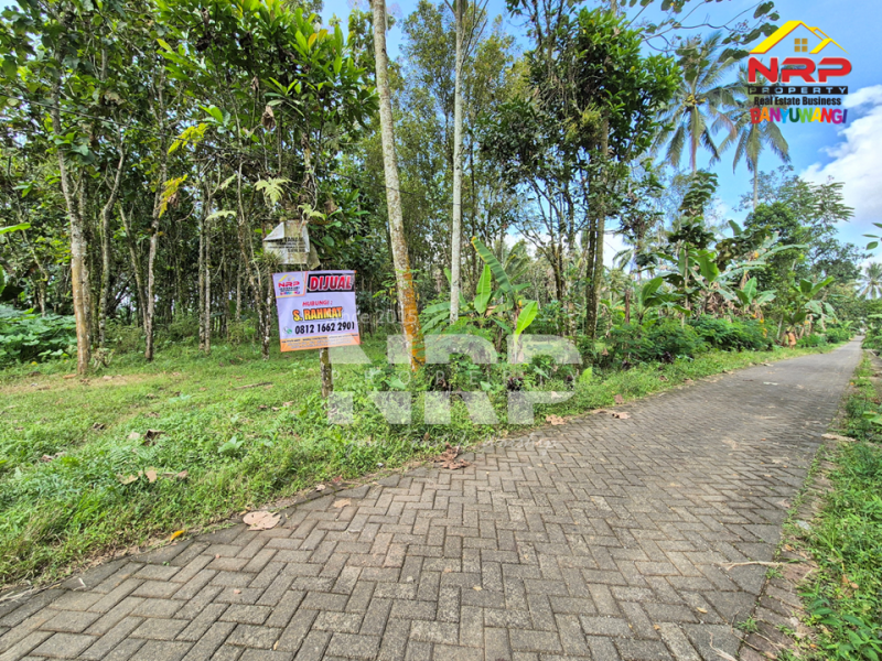  Dijual Tanah Siap Huni di Tamansari, Licin  Dijual Tanah Siap Huni di Tamansari, Licin Dijual Tanah Siap Huni di Tamansari, Licin
Nikmati suasana sejuk khas pegunungan Banyuwangi.
Dengan akses jalan paving, pas untuk bangun villa atau rumah NRP BANYUWANGI