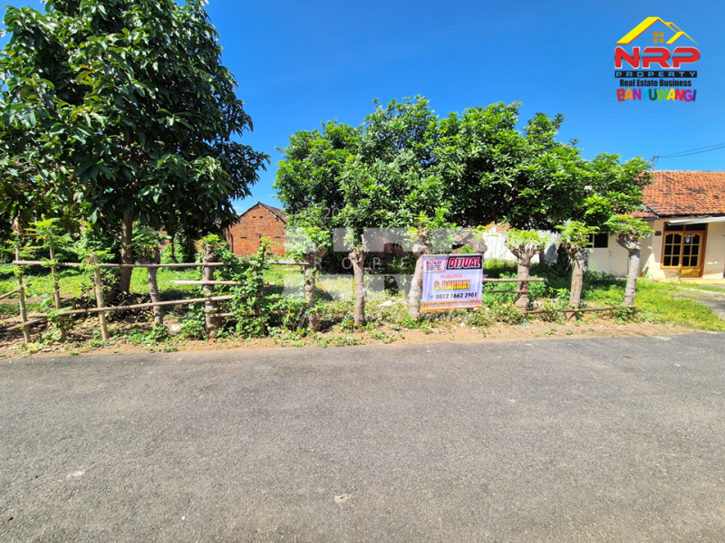 Cari tanah di Banyuwangi? Nih, dijual tanah murah di Kebalenan - Banyuwangi Dijual tanah murah di banyuwangi kota belakang untag  Cari tanah di Banyuwangi? Nih, dijual tanah murah di Kebalenan - Banyuwangi
Lokasi kece & dekat mana-mana. Cocok buat rumah atau investasi.&nbsp;

Luas NRP BANYUWANGI