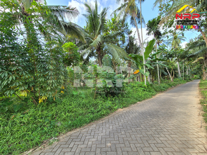 Dijual Cafe+Tanah kebun di tepi Jl. Kh Ahmad Asyari, Pakistaji - Banyuwangi  Jual cafe dan kebun di banyuwangi pakistaji  Dijual Cafe+Tanah kebun di tepi Jl. Kh Ahmad Asyari, Pakistaji - Banyuwangi&nbsp;
Lokasi sangat strategis berhadapan dengan Asrama Militer Kostrad NRP BANYUWANGI