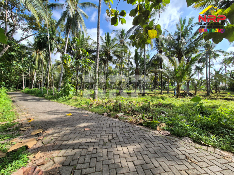 Dijual Cafe+Tanah kebun di tepi Jl. Kh Ahmad Asyari, Pakistaji - Banyuwangi  Jual cafe dan kebun di banyuwangi pakistaji  Dijual Cafe+Tanah kebun di tepi Jl. Kh Ahmad Asyari, Pakistaji - Banyuwangi&nbsp;
Lokasi sangat strategis berhadapan dengan Asrama Militer Kostrad NRP BANYUWANGI