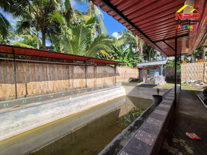 Dijual Cafe+Tanah kebun di tepi Jl. Kh Ahmad Asyari, Pakistaji - Banyuwangi  Jual cafe dan kebun di banyuwangi pakistaji  Dijual Cafe+Tanah kebun di tepi Jl. Kh Ahmad Asyari, Pakistaji - Banyuwangi&nbsp;
Lokasi sangat strategis berhadapan dengan Asrama Militer Kostrad NRP BANYUWANGI