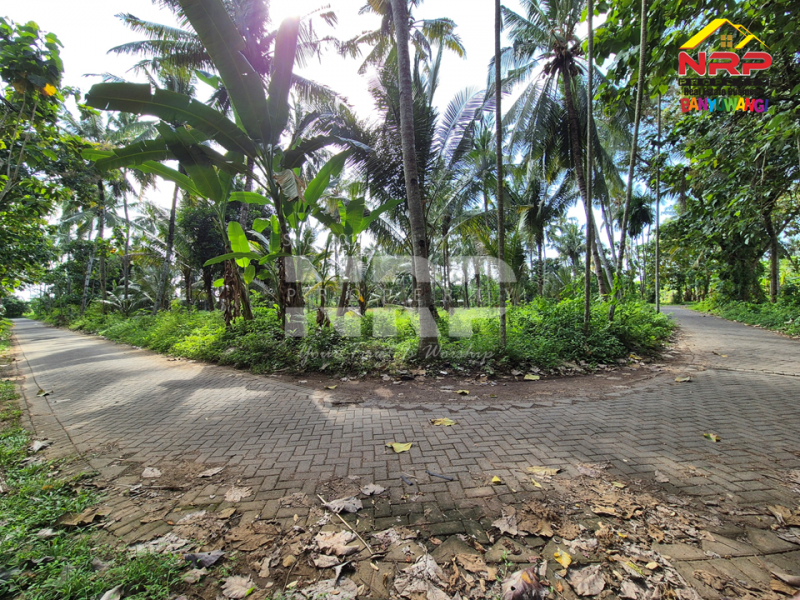 Dijual Cafe+Tanah kebun di tepi Jl. Kh Ahmad Asyari, Pakistaji - Banyuwangi  Jual cafe dan kebun di banyuwangi pakistaji  Dijual Cafe+Tanah kebun di tepi Jl. Kh Ahmad Asyari, Pakistaji - Banyuwangi&nbsp;
Lokasi sangat strategis berhadapan dengan Asrama Militer Kostrad NRP BANYUWANGI