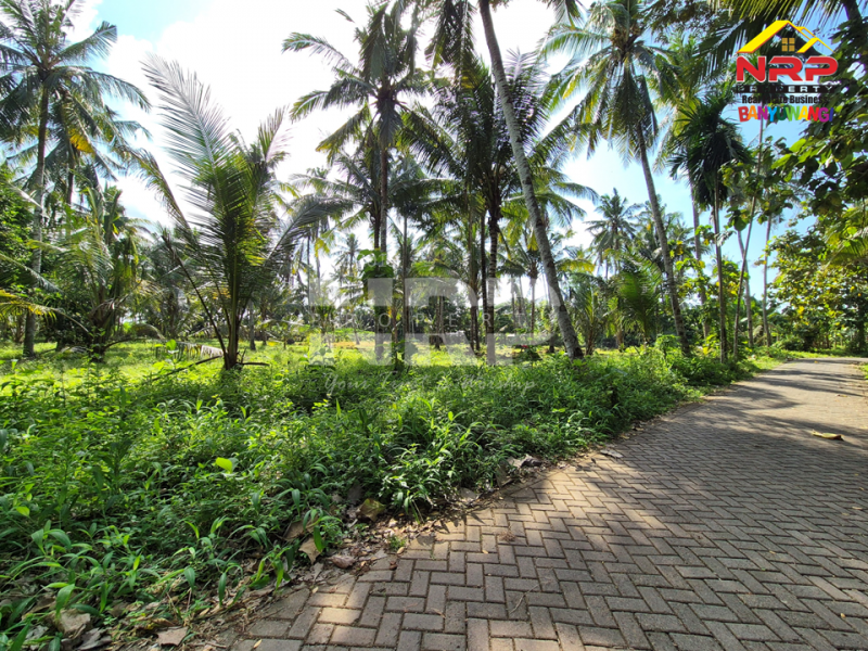 Dijual Cafe+Tanah kebun di tepi Jl. Kh Ahmad Asyari, Pakistaji - Banyuwangi  Jual cafe dan kebun di banyuwangi pakistaji  Dijual Cafe+Tanah kebun di tepi Jl. Kh Ahmad Asyari, Pakistaji - Banyuwangi&nbsp;
Lokasi sangat strategis berhadapan dengan Asrama Militer Kostrad NRP BANYUWANGI