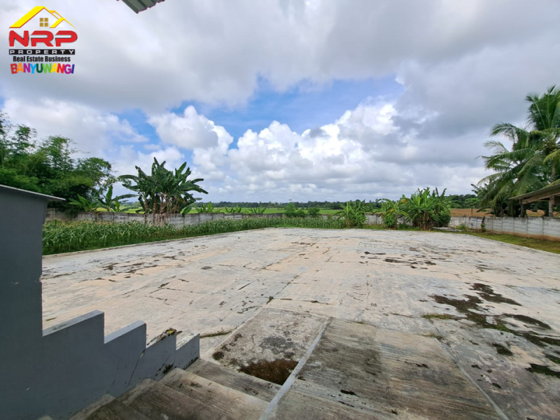 Dijual Gudang Beserta Usahanya di Jl. Macan Putih, Kabat - Banyuwangi Dijual Gudang Beserta Usahanya di Jl. Macan Putih, Kabat - Banyuwangi Dijual Gudang Beserta Usahanya di Jl. Macan Putih, Kabat - Banyuwangi
Include furniture dan seluruh mesin yang ada (Mesin Potong, Mesin Packing, Mesing NRP BANYUWANGI