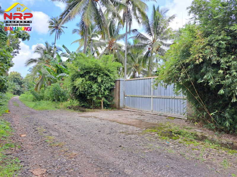 Dijual Gudang Beserta Usahanya di Jl. Macan Putih, Kabat - Banyuwangi Dijual Gudang Beserta Usahanya di Jl. Macan Putih, Kabat - Banyuwangi Dijual Gudang Beserta Usahanya di Jl. Macan Putih, Kabat - Banyuwangi
Include furniture dan seluruh mesin yang ada (Mesin Potong, Mesin Packing, Mesing NRP BANYUWANGI