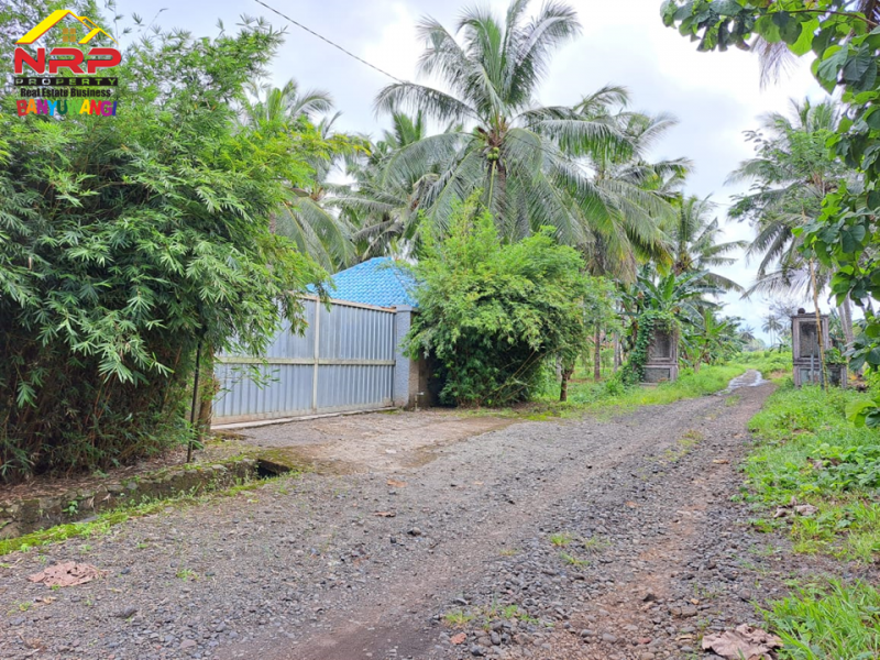Dijual Gudang Beserta Usahanya di Jl. Macan Putih, Kabat - Banyuwangi Dijual Gudang Beserta Usahanya di Jl. Macan Putih, Kabat - Banyuwangi Dijual Gudang Beserta Usahanya di Jl. Macan Putih, Kabat - Banyuwangi
Include furniture dan seluruh mesin yang ada (Mesin Potong, Mesin Packing, Mesing NRP BANYUWANGI