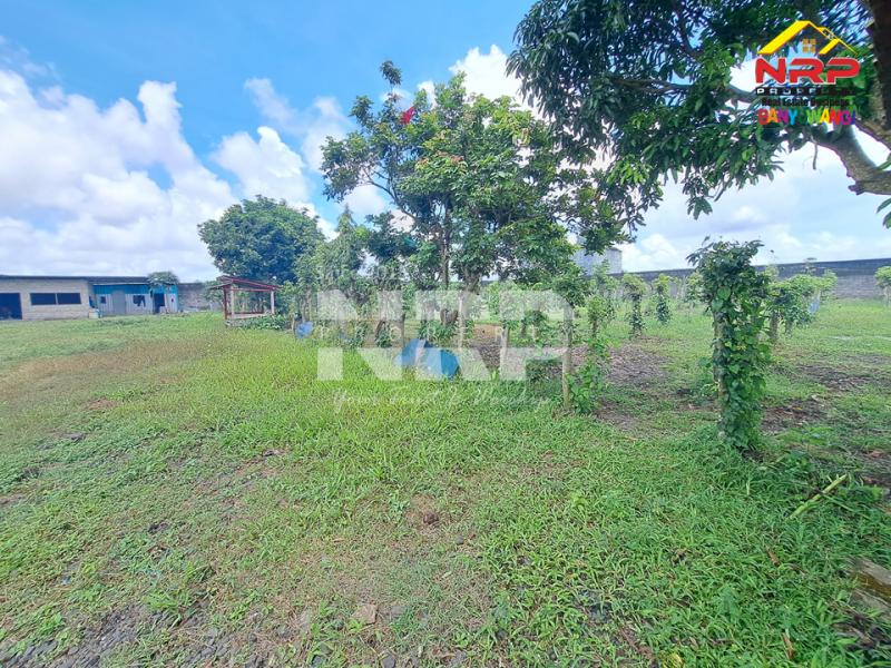 Dijual Gudang dan Tanah Luas di Mangir Rogojampi - Banyuwangi   Dijual Gudang dan Tanah Luas di Mangir Rogojampi - Banyuwangi   Dijual Gudang dan Tanah Luas di Mangir Rogojampi - Banyuwangi&nbsp;&nbsp;
185 eter dari Jl. Raya Mangir -&nbsp; Rogojampi. Prospek untuk gudang distributor, NRP BANYUWANGI