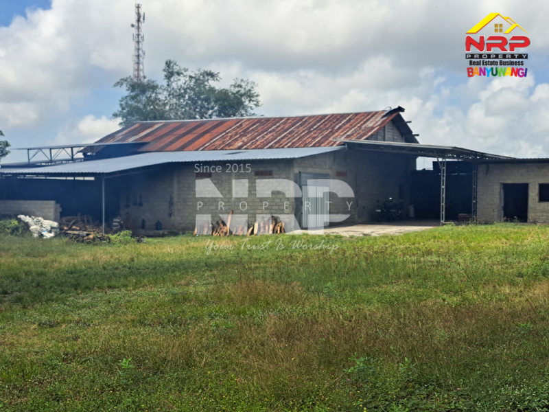 Dijual Gudang dan Tanah Luas di Mangir Rogojampi - Banyuwangi   Dijual Gudang dan Tanah Luas di Mangir Rogojampi - Banyuwangi   Dijual Gudang dan Tanah Luas di Mangir Rogojampi - Banyuwangi&nbsp;&nbsp;
185 eter dari Jl. Raya Mangir -&nbsp; Rogojampi. Prospek untuk gudang distributor, NRP BANYUWANGI