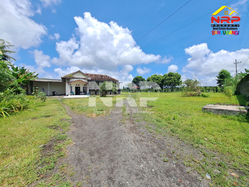 Dijual Gudang dan Tanah Luas di Mangir Rogojampi - Banyuwangi   Dijual Gudang dan Tanah Luas di Mangir Rogojampi - Banyuwangi   Dijual Gudang dan Tanah Luas di Mangir Rogojampi - Banyuwangi&nbsp;&nbsp;
185 eter dari Jl. Raya Mangir -&nbsp; Rogojampi. Prospek untuk gudang distributor, NRP BANYUWANGI