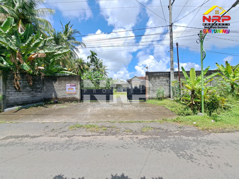 Dijual Gudang dan Tanah Luas di Mangir Rogojampi - Banyuwangi   Dijual Gudang dan Tanah Luas di Mangir Rogojampi - Banyuwangi   Dijual Gudang dan Tanah Luas di Mangir Rogojampi - Banyuwangi&nbsp;&nbsp;
185 eter dari Jl. Raya Mangir -&nbsp; Rogojampi. Prospek untuk gudang distributor, NRP BANYUWANGI