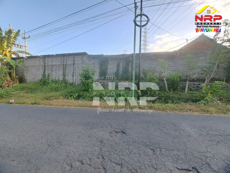 Dijual Gudang Ex Pabkrik Kayu di Kalipuro - Banyuwangi  Dijual Gudang Ex Pabkrik Kayu di Kalipuro - Banyuwangi  Dijual Gudang Ex Pabkrik Kayu di Kalipuro - Banyuwangi&nbsp;
Kawasan industri dan pergudangan, Akses truk container 40 feet bisa masuk.&nbsp;

Luas Tanah : NRP BANYUWANGI