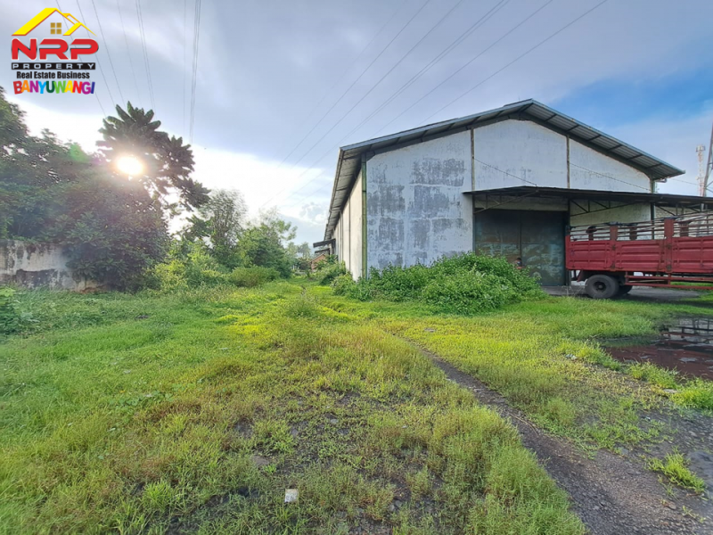 Dijual Gudang Murah Strategis di tepi Jl. Gatot Subroto, Ketapang - Banyuwangi  Dijual Gudang Strategis di tepi Jl. Gatot Subroto, Ketapang - Banyuwangi  Dijual Gudang Strategis di tepi Jl. Gatot Subroto, Ketapang - Banyuwangi&nbsp;
Terletak di area Bisnis Aktif Pelabuhan penyebrangan ketapang.
Cocok untuk NRP BANYUWANGI