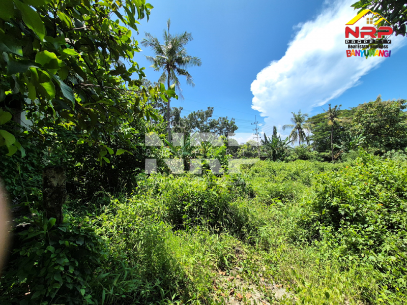 Dijual Gudang Strategis di kawasan Industri Kalipuro - Banyuwangi Dijual Gudang Strategis di kawasan Industri Kalipuro - Banyuwangi Dijual Gudang Strategis di kawasan Industri Kalipuro - Banyuwangi
Lokasi di 0 Jalur Provinsi. Cocok Untuk Gudang, Pabrik, Distributor dan Ruang Usaha NRP BANYUWANGI