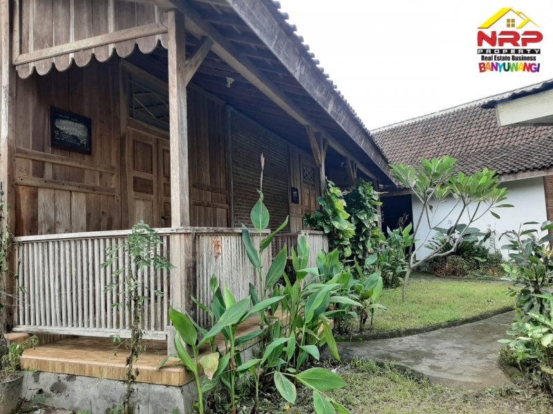 Dijual Home Stay 4 Kamar Lengkap dengan Furniture di Jl. Bawean - Banyuwangi Dijual Home Stay 4 Kamar Lengkap dengan Furniture di Jl. Bawean - Banyuwangi Dijual Home Stay 4 Kamar Lengkap dengan Furniture di Jl. Bawean - Banyuwangi
Hitung nilai tanah saja ( Bangunan dan Rumah Adat Osing Bonus )

LT/LB : NRP BANYUWANGI