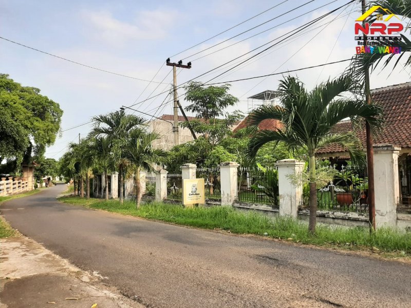 Dijual Home Stay 4 Kamar Lengkap dengan Furniture di Jl. Bawean - Banyuwangi Dijual Home Stay 4 Kamar Lengkap dengan Furniture di Jl. Bawean - Banyuwangi Dijual Home Stay 4 Kamar Lengkap dengan Furniture di Jl. Bawean - Banyuwangi
Hitung nilai tanah saja ( Bangunan dan Rumah Adat Osing Bonus )

LT/LB : NRP BANYUWANGI