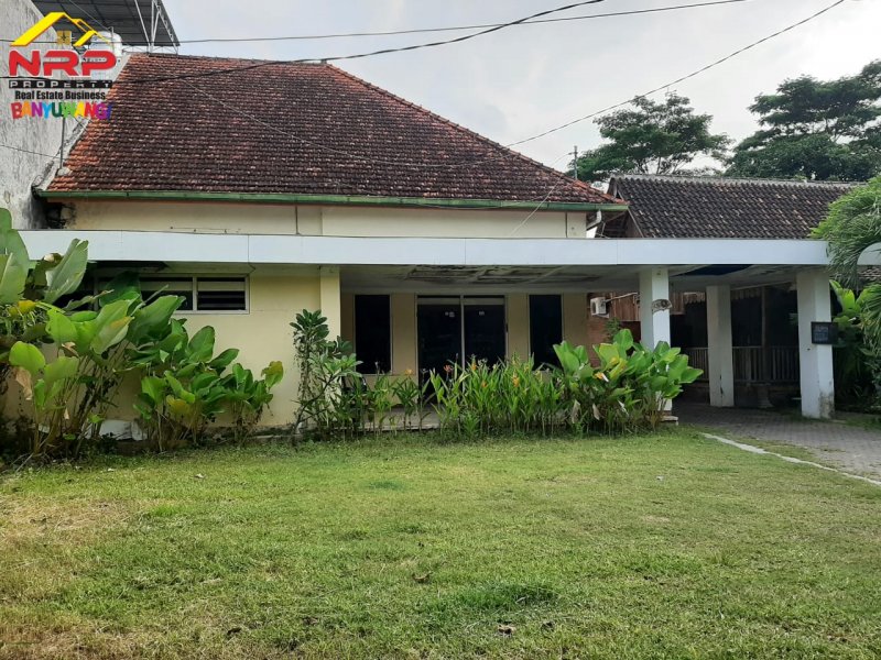 Dijual Home Stay 4 Kamar Lengkap dengan Furniture di Jl. Bawean - Banyuwangi Dijual Home Stay 4 Kamar Lengkap dengan Furniture di Jl. Bawean - Banyuwangi Dijual Home Stay 4 Kamar Lengkap dengan Furniture di Jl. Bawean - Banyuwangi
Hitung nilai tanah saja ( Bangunan dan Rumah Adat Osing Bonus )

LT/LB : NRP BANYUWANGI