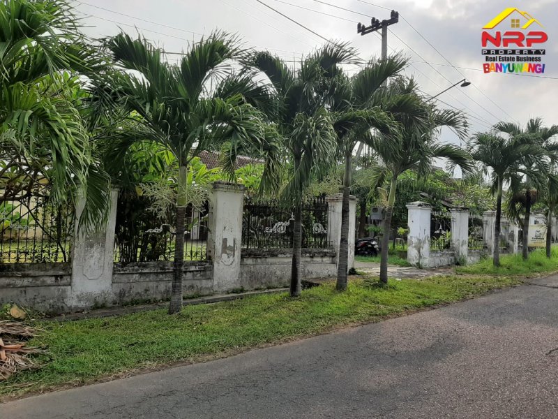 Dijual Home Stay 4 Kamar Lengkap dengan Furniture di Jl. Bawean - Banyuwangi Dijual Home Stay 4 Kamar Lengkap dengan Furniture di Jl. Bawean - Banyuwangi Dijual Home Stay 4 Kamar Lengkap dengan Furniture di Jl. Bawean - Banyuwangi
Hitung nilai tanah saja ( Bangunan dan Rumah Adat Osing Bonus )

LT/LB : NRP BANYUWANGI