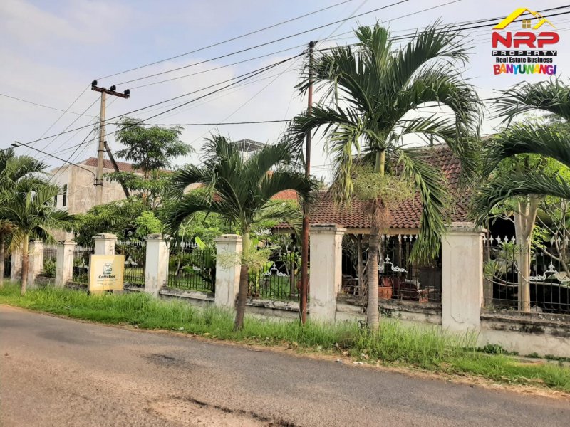 Dijual Home Stay 4 Kamar Lengkap dengan Furniture di Jl. Bawean - Banyuwangi Dijual Home Stay 4 Kamar Lengkap dengan Furniture di Jl. Bawean - Banyuwangi Dijual Home Stay 4 Kamar Lengkap dengan Furniture di Jl. Bawean - Banyuwangi
Hitung nilai tanah saja ( Bangunan dan Rumah Adat Osing Bonus )

LT/LB : NRP BANYUWANGI