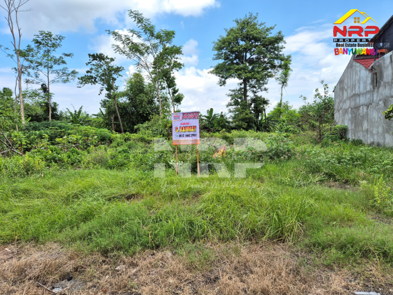 Dijual Kavling Siap Bangun Di Belakang Hotel Santika Banyuwangi Dijual Kavling Siap Bangun Di Belakang Hotel Santika Banyuwangi Dijual Kavling Siap Bangun Di Belakang Hotel Santika Banyuwangi
Lokasi Strategis, Cocok Untuk di Bangun Hunian, Rumah Kos, Home Stay dll

Luas Tanah : 378 NRP BANYUWANGI