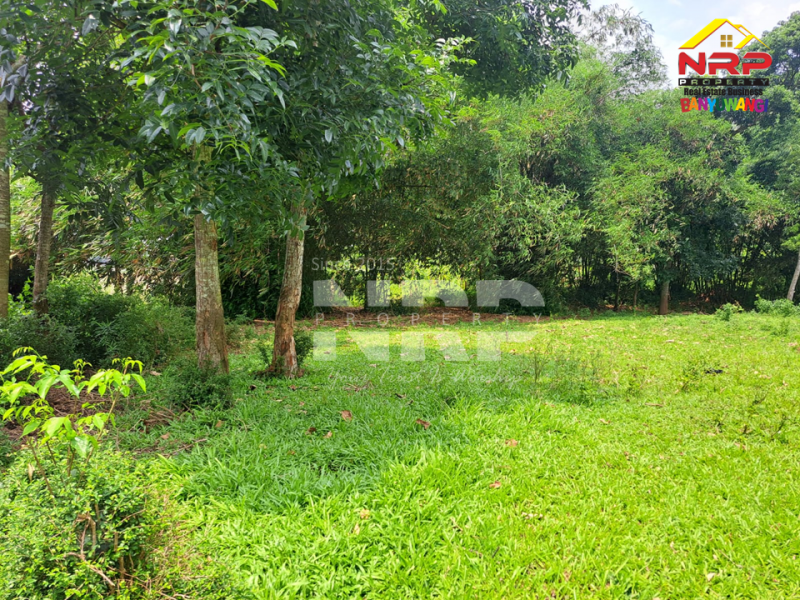 Dijual Kebun Murah Dekat Asrama Bustanul Makmur 2 - Genteng  Dijual Kebun Murah Dekat Asrama Bustanul Makmur 2 - Genteng  Dijual Kebun Murah Dekat Asrama Bustanul Makmur 2 - Genteng&nbsp;
500 meter dari Jl. Utama Genteng - Temuguruh&nbsp;
Akses Jln Roda 2.

Luas Tanah : 1.065 NRP BANYUWANGI