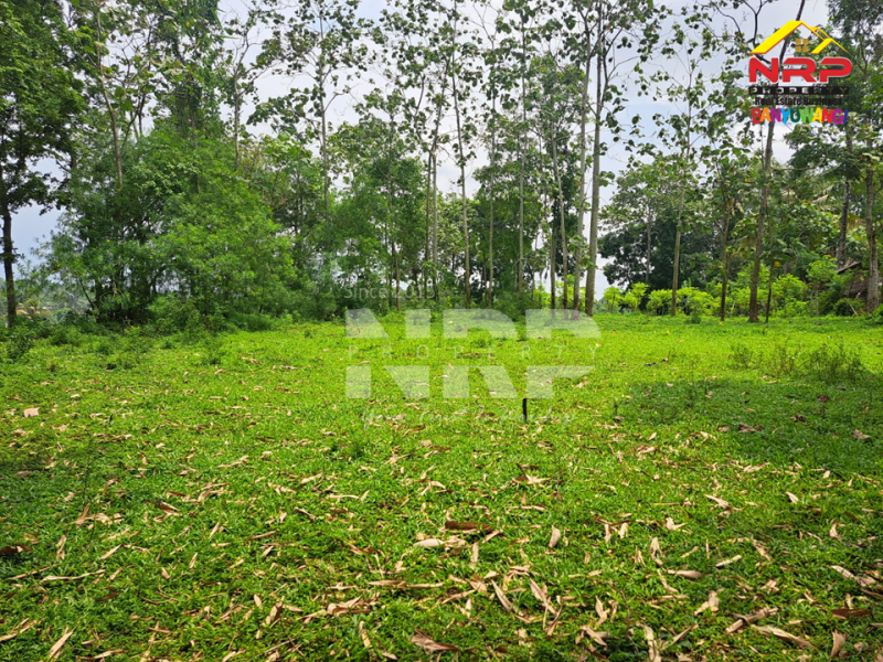 Dijual Kebun Murah Dekat Asrama Bustanul Makmur 2 - Genteng  Dijual Kebun Murah Dekat Asrama Bustanul Makmur 2 - Genteng  Dijual Kebun Murah Dekat Asrama Bustanul Makmur 2 - Genteng&nbsp;
500 meter dari Jl. Utama Genteng - Temuguruh&nbsp;
Akses Jln Roda 2.

Luas Tanah : 1.065 NRP BANYUWANGI