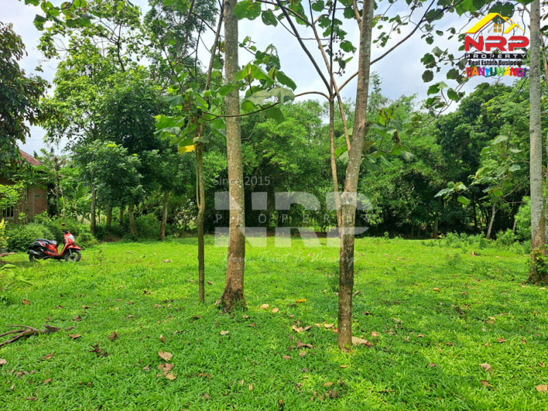 Dijual Kebun Murah Dekat Asrama Bustanul Makmur 2 - Genteng  Dijual Kebun Murah Dekat Asrama Bustanul Makmur 2 - Genteng  Dijual Kebun Murah Dekat Asrama Bustanul Makmur 2 - Genteng&nbsp;
500 meter dari Jl. Utama Genteng - Temuguruh&nbsp;
Akses Jln Roda 2.

Luas Tanah : 1.065 NRP BANYUWANGI