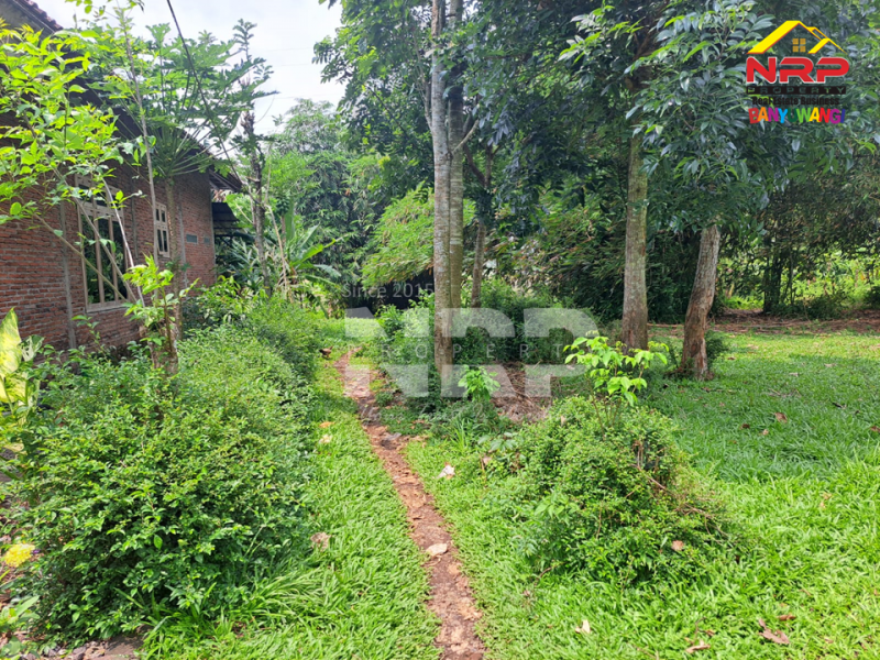 Dijual Kebun Murah Dekat Asrama Bustanul Makmur 2 - Genteng  Dijual Kebun Murah Dekat Asrama Bustanul Makmur 2 - Genteng  Dijual Kebun Murah Dekat Asrama Bustanul Makmur 2 - Genteng&nbsp;
500 meter dari Jl. Utama Genteng - Temuguruh&nbsp;
Akses Jln Roda 2.

Luas Tanah : 1.065 NRP BANYUWANGI