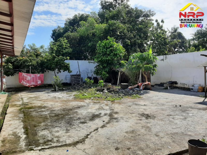 Dijual Kos - Kosan 19 Kamar Lengkap dg Toko di Jl.Kutilang- Banyuwangi Dijual Kos - Kosan 19 Kamar Lengkap dg Toko di Jl.Kutilang- Banyuwangi Dijual Kos - Kosan 19 Kamar Lengkap dg Toko di Jl.Kutilang- Banyuwangi
Lokasi sangat startegis sangat cocok untuk Investasi Pasive Income

Fasilitas : 19 NRP BANYUWANGI
