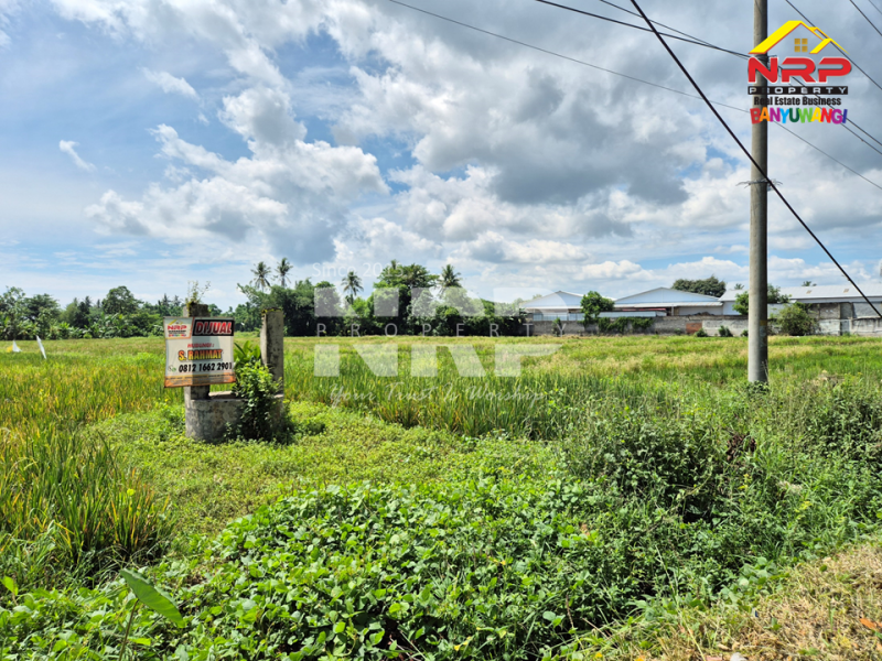 Dijual Murah Banget Tanah di Kabat, Rogojampi Banyuwangi. Dijual Murah Banget Tanah di Kabat, Rogojampi Banyuwangi. Peluang Investasi Strategis. Dijual Murah Banget Tanah depan POM Kabat, dekat kampus Poltek Banyuwangi.
Arus lalu lintas ramai, nilai investasi terus NRP BANYUWANGI