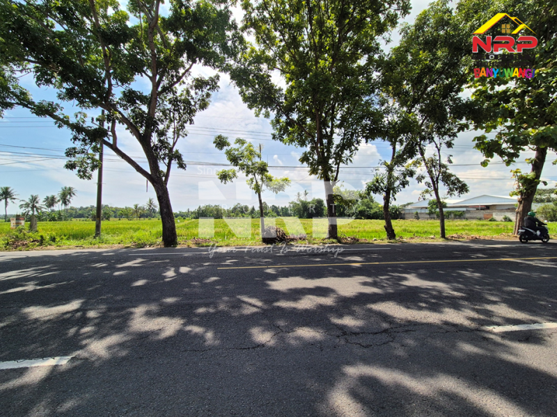 Dijual Murah Banget Tanah di Kabat, Rogojampi Banyuwangi. Dijual Murah Banget Tanah di Kabat, Rogojampi Banyuwangi. Peluang Investasi Strategis. Dijual Murah Banget Tanah depan POM Kabat, dekat kampus Poltek Banyuwangi.
Arus lalu lintas ramai, nilai investasi terus NRP BANYUWANGI