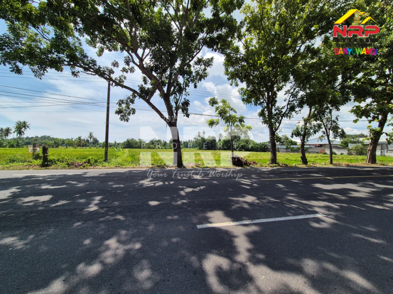 Dijual Murah Banget Tanah di Kabat, Rogojampi Banyuwangi. Dijual Murah Banget Tanah di Kabat, Rogojampi Banyuwangi. Peluang Investasi Strategis. Dijual Murah Banget Tanah depan POM Kabat, dekat kampus Poltek Banyuwangi.
Arus lalu lintas ramai, nilai investasi terus NRP BANYUWANGI