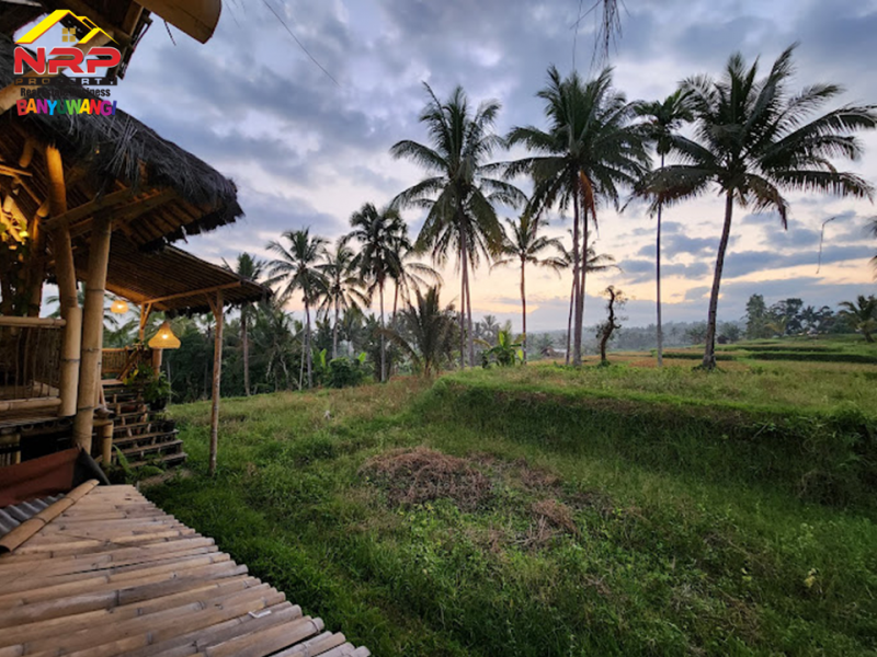 Dijual Resto Tepi Sawah Produktif Full Furnished di Desa Segobang, Licin - Banyuwangi  Dijual Resto Tepi Sawah Produktif Full Furnished di Desa Segobang, Licin - Banyuwangi  Dijual Resto Tepi Sawah Produktif Full Furnished di Desa Segobang, Licin - Banyuwangi&nbsp;
Resto dengan View Persawahan, Laut serta Pegunungan.&nbsp;
Cocok NRP BANYUWANGI