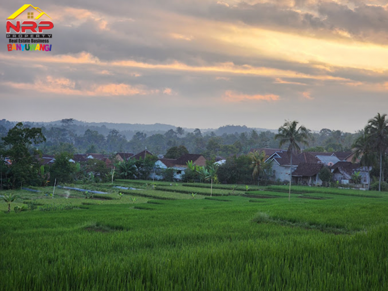 Dijual Resto Tepi Sawah Produktif Full Furnished di Desa Segobang, Licin - Banyuwangi  Dijual Resto Tepi Sawah Produktif Full Furnished di Desa Segobang, Licin - Banyuwangi  Dijual Resto Tepi Sawah Produktif Full Furnished di Desa Segobang, Licin - Banyuwangi&nbsp;
Resto dengan View Persawahan, Laut serta Pegunungan.&nbsp;
Cocok NRP BANYUWANGI