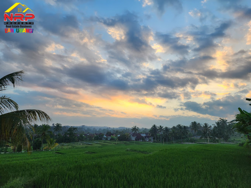 Dijual Resto Tepi Sawah Produktif Full Furnished di Desa Segobang, Licin - Banyuwangi  Dijual Resto Tepi Sawah Produktif Full Furnished di Desa Segobang, Licin - Banyuwangi  Dijual Resto Tepi Sawah Produktif Full Furnished di Desa Segobang, Licin - Banyuwangi&nbsp;
Resto dengan View Persawahan, Laut serta Pegunungan.&nbsp;
Cocok NRP BANYUWANGI