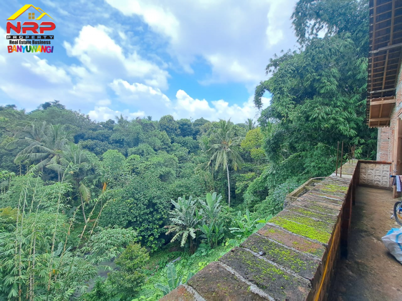 Dijual Restoran atau Caffe di Desa Adat Kemiren - Banyuwangi Dijual Restoran atau Caffe di Desa Adat Kemiren - Banyuwangi Dijual Restoran atau Caffe di Desa Adat Kemiren - Banyuwangi
Lokasi Sangat Stategis si tepi Jalan Utama Kemiren - Banyuwangi
Bangunan Baru Hanya menghitung NRP BANYUWANGI