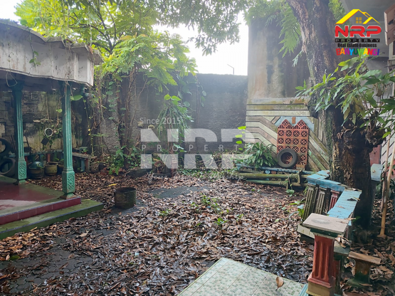 DIJUAL RUKO + RUMAH TUA 3 lantai di TEMBOKREJO, MUNCAR BANYUWANGI  DIJUAL RUKO Murah di TEMBOKREJO, MUNCAR BANYUWANGI  DIJUAL RUKO + RUMAH TUA 3 lantai di TEMBOKREJO, MUNCAR BANYUWANGI&nbsp;
Kesempatan punya aset di kawasan ramai!Berlokasi di Tembokrejo &ndash; Muncar, NRP BANYUWANGI
