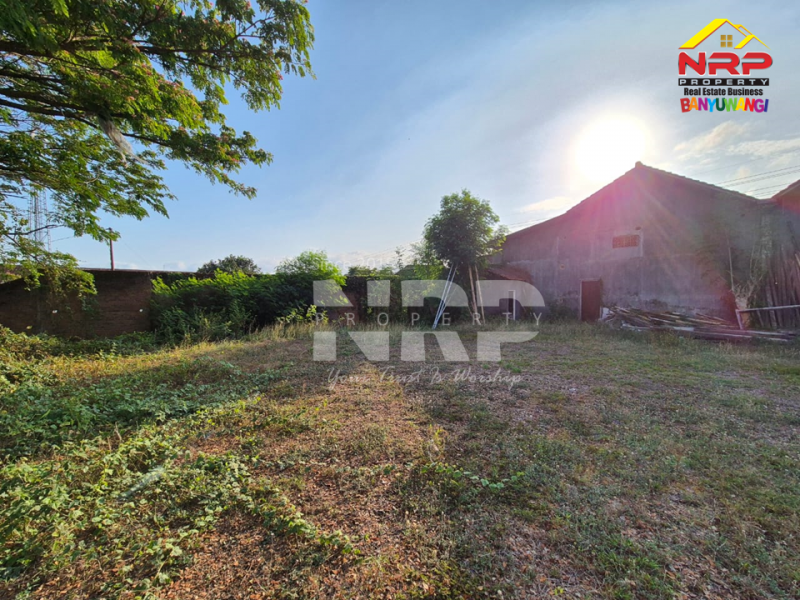 Dijual Ruko Strategis dan Luas tepi  Jalan Raden Wijaya - Banyuwangi  Dijual Ruko Strategis dan Luas tepi  Jalan Raden Wijaya - Banyuwangi  Dijual Ruko Strategis dan Luas tepi&nbsp; Jalan Raden Wijaya - Banyuwangi&nbsp;
Lokasi di tepi Jl Provinsi, kawasan ruko dan gudang.&nbsp;
Cocok untuk NRP BANYUWANGI