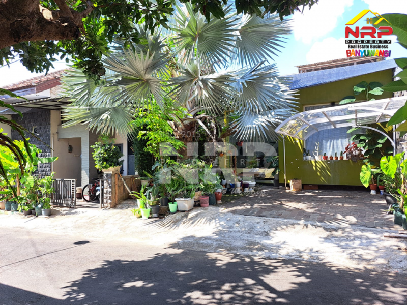 Dijual Rumah 2 Kavling Dengan Konsep Green Home di Perum. Kalirejo - Banyuwangi  Dijual Rumah 2 Kavling Dengan Konsep Green Home di Perum. Kalirejo - Banyuwangi  Dijual Rumah 2 Kavling Dengan Konsep Green Home di Perum. Kalirejo - Banyuwangi&nbsp;
Kavling Barat 2 Lantai Sudah dag dan siap naik 2 lantai&nbsp;
Lokasi NRP BANYUWANGI