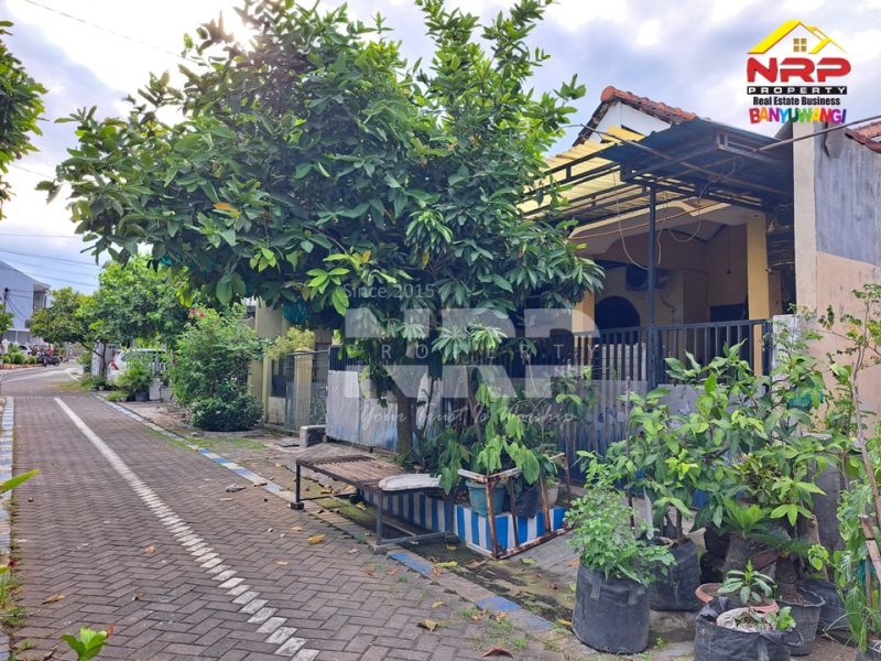 Dijual Rumah 2 Lantai di Perum. GGM Klatak - Banyuwangi Dijual Rumah 2 Lantai di Perum. GGM Klatak - Banyuwangi Dijual Rumah 2 Lantai di Perum. GGM Klatak - Banyuwangi
Lokasi nyaman di gunakan untuk tempat tinggal, padat penduduk dekat dengan hotel-hotel tenama NRP BANYUWANGI