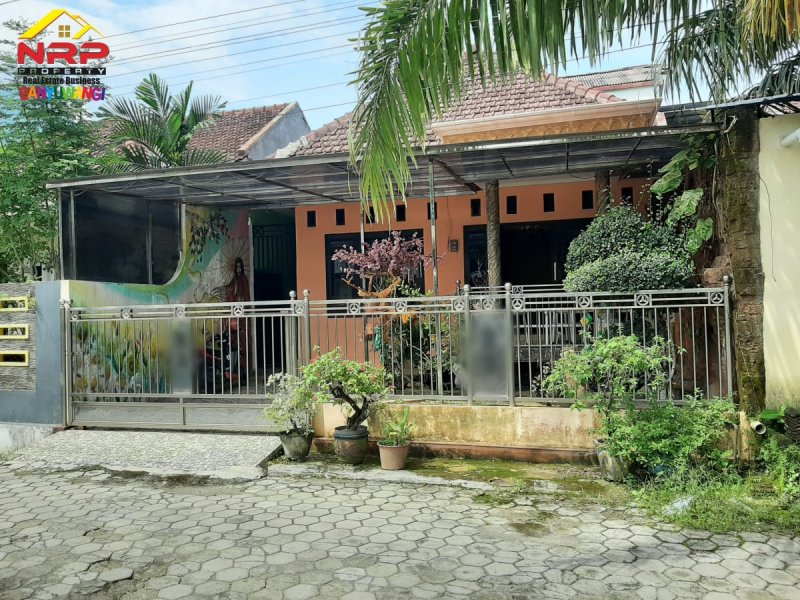 Dijual Rumah 2 Lantai Siap Huni di Perum Griya Indah Agus Salim - Banyuwangi Dijual Rumah 2 Lantai Siap Huni di Perum Griya Indah Agus Salim - Banyuwangi Dijual Rumah 2 Lantai Siap Huni di Perum Griya Indah Agus Salim - Banyuwangi
Hunuian Nyaman dengan akses jalan utama Jl. KH Agus Salim

Fasilitas : Ruang NRP BANYUWANGI